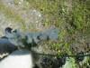 Thumbnail IMG_1503.JPG 