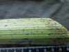 Thumbnail IMG_2422.JPG 