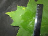 Thumbnail IMG_2430.JPG 