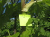 Thumbnail IMG_1512.JPG 