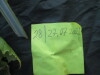 Thumbnail IMG_2474.JPG 