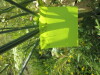 Thumbnail IMG_1535.JPG 