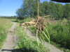 Thumbnail IMG_1556.JPG 