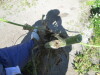 Thumbnail IMG_1563.JPG 