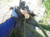 Thumbnail IMG_1564.JPG 
