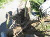 Thumbnail IMG_1565.JPG 