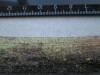 Thumbnail IMG_2463.JPG 