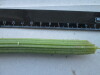 Thumbnail IMG_2464.JPG 