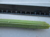 Thumbnail IMG_2465.JPG 