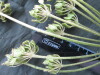 Thumbnail IMG_2471.JPG 