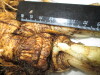 Thumbnail IMG_3619.JPG 