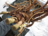 Thumbnail IMG_3628.JPG 