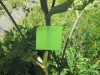 Thumbnail IMG_1568.JPG 