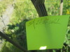 Thumbnail IMG_1569.JPG 