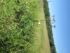 Thumbnail IMG_1574.JPG 