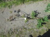 Thumbnail IMG_1584.JPG 