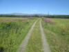 Thumbnail IMG_1585.JPG 