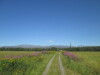 Thumbnail IMG_1586.JPG 
