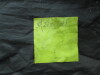 Thumbnail IMG_2387.JPG 