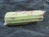 Thumbnail IMG_2396.JPG 