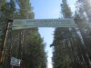 Thumbnail IMG_1590.JPG 
