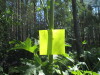 Thumbnail IMG_1592.JPG 