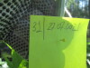 Thumbnail IMG_1593.JPG 