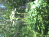 Thumbnail IMG_1596.JPG 