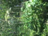 Thumbnail IMG_1597.JPG 