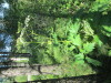 Thumbnail IMG_1602.JPG 