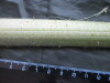 Thumbnail IMG_2445.JPG 