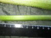 Thumbnail IMG_2447.JPG 
