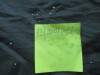 Thumbnail IMG_2448.JPG 