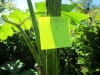 Thumbnail IMG_1608.JPG 