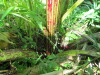 Thumbnail IMG_1623.JPG 