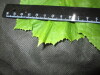 Thumbnail IMG_1943.JPG 