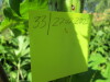 Thumbnail IMG_1631.JPG 