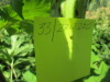 Thumbnail IMG_1632.JPG 