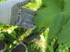 Thumbnail IMG_1636.JPG 