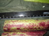 Thumbnail IMG_1935.JPG 