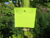 Thumbnail IMG_1654.JPG 