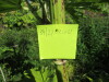 Thumbnail IMG_1656.JPG 