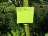 Thumbnail IMG_1657.JPG 