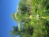 Thumbnail IMG_1662.JPG 