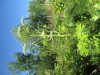 Thumbnail IMG_1664.JPG 