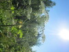 Thumbnail IMG_1671.JPG 