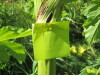 Thumbnail IMG_1676.JPG 