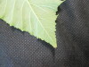 Thumbnail IMG_1770.JPG 