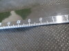 Thumbnail IMG_1778.JPG 