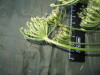 Thumbnail IMG_1793.JPG 